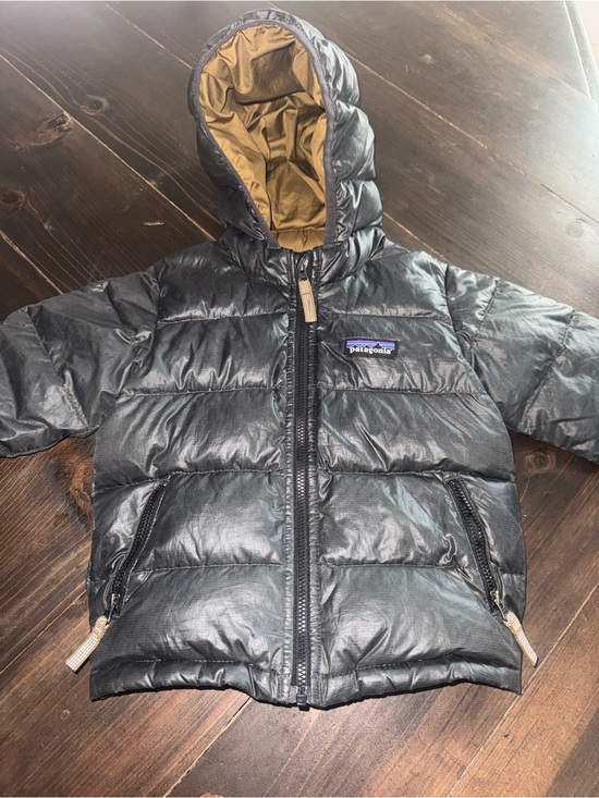 Patagonia Other - Patagonia Goose Down Toddler Grey Hooded Jacket 12/18 Month